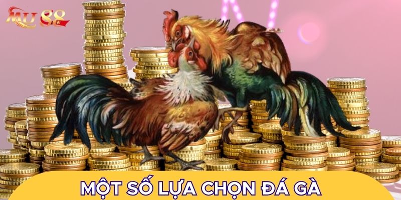 Một số lựa chọn đá gà thường gặp